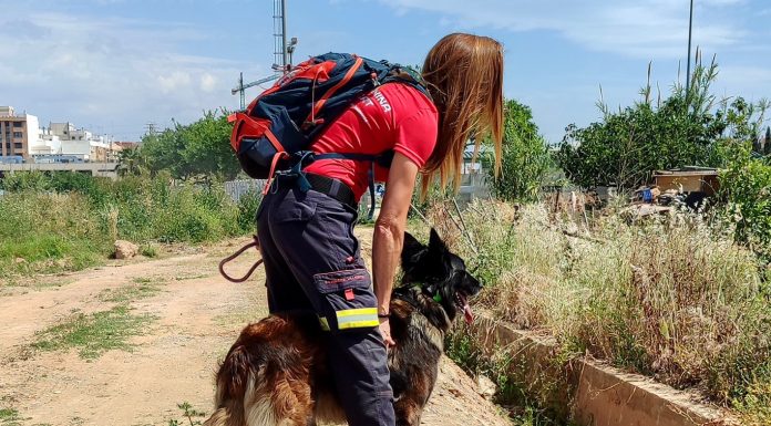 Gran operativo de búsqueda de una mujer de 72 años en Alfafar