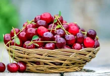 Vuelve la Feria de la Cereza: el fruto más dulce a menos de una hora de Valencia Vuelve la Feria de la Cereza: cultura y gastronomía a menos de una hora de Valencia