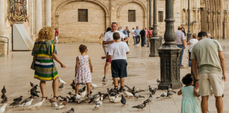 Valencia estudia multar a los vecinos que alimenten a las palomas para frenar la plaga en la ciudad