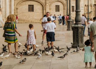 Valencia estudia multar a los vecinos que alimenten a las palomas para frenar la plaga en la ciudad