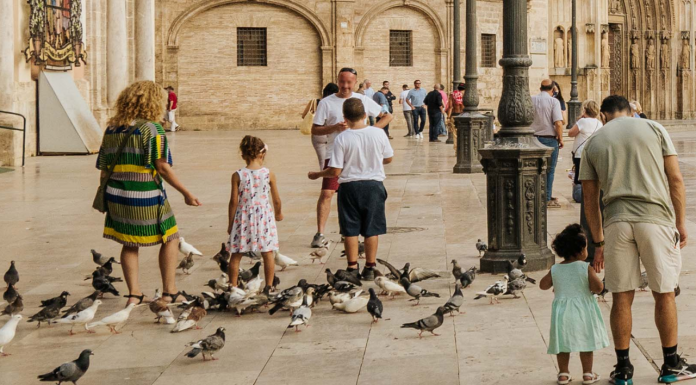 Valencia estudia multar a los vecinos que alimenten a las palomas Valencia estudia multar a los vecinos que alimenten a las palomas para frenar la plaga en la ciudad