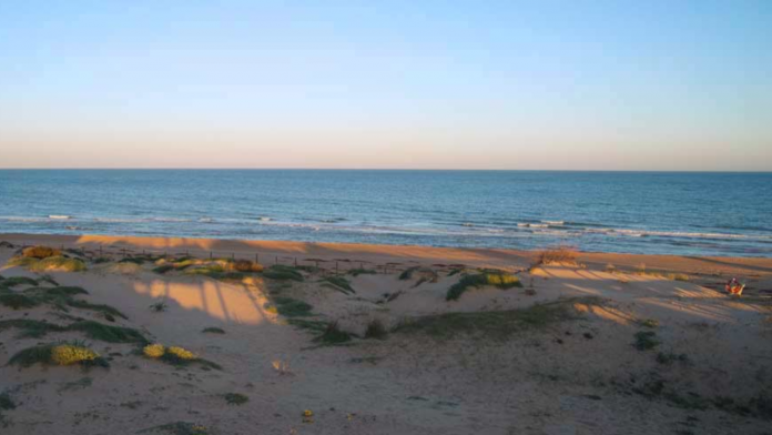 7televalencia-playa-ortigues-campo