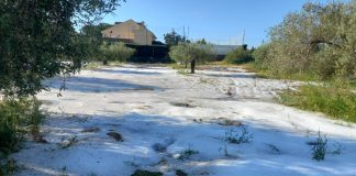 7televalencia ribaroja zona catastrófica granizo granizada pedrisco