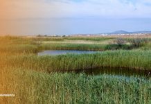 La Mancomunitat de l’Horta Nord se reivindica como destino turístico con identidad propia
