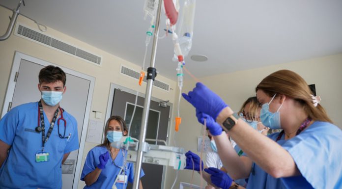 El Hospital La Fe supera los 100 trasplantes de médula ósea de donante en pacientes adultos en un año