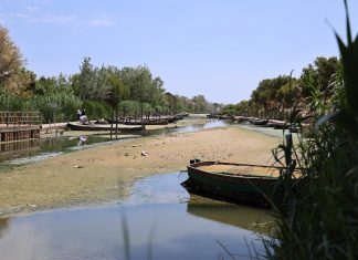 Del fang a la rajola: Catarroja i CSIC impulsen un projecte per a reutilitzar els llots del Port per la DANA Port de Catarroja