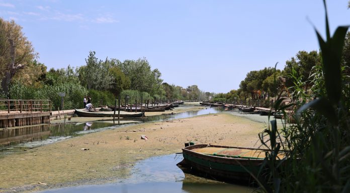 Del fang a la rajola: Catarroja i CSIC impulsen un projecte per a reutilitzar els llots del Port per la DANA Port de Catarroja
