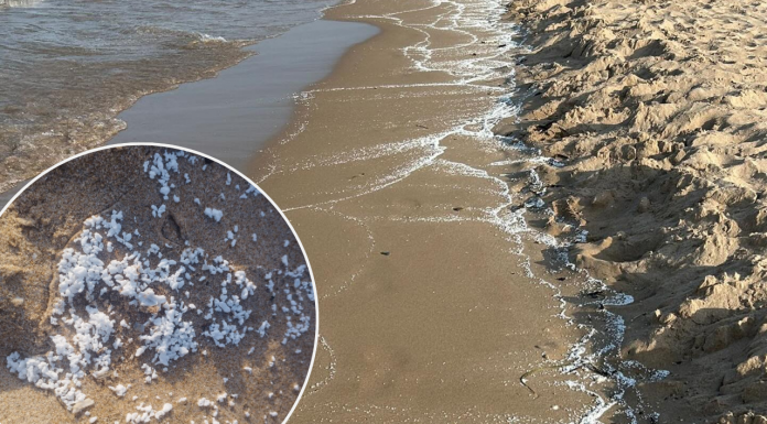 Un vertido desconocido obliga a cerrar cinco playas del sur de Valencia Un vertido desconocido obliga a cerrar cinco playas del sur de Valencia