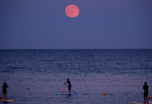 Cuándo y cómo ver la 'Luna de Fresa' en Valencia: el espectáculo lunar más bajo del año