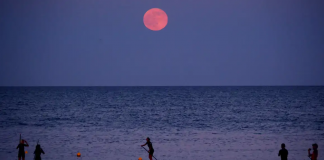 Cuándo y cómo ver la 'Luna de Fresa' en Valencia: el espectáculo lunar más bajo del año