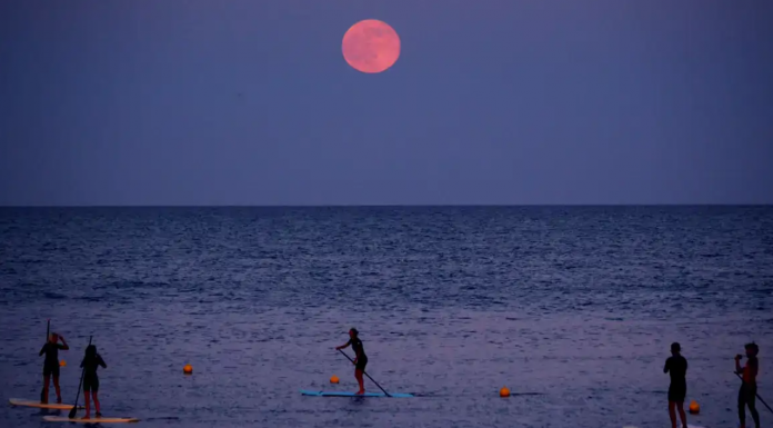 Cuándo y cómo ver la ‘Luna de Fresa’ en Valencia: el espectáculo lunar más bajo del año Cuándo y cómo ver la 'Luna de Fresa' en Valencia: el espectáculo lunar más bajo del año