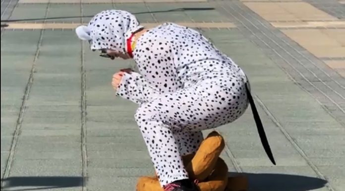 Una joven disfrazada de dálmata simula defecar en una ridícula campaña