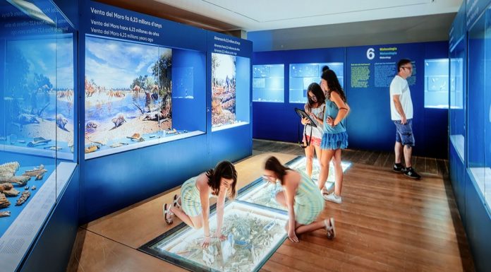 Así es el nuevo museo de València: una experiencia de película El museo abrirá sus puertas el 26 de julio