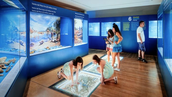 7televalencia Remodelació proposta museogràfica Museu Ciències Naturals El museo abrirá sus puertas el 26 de julio
