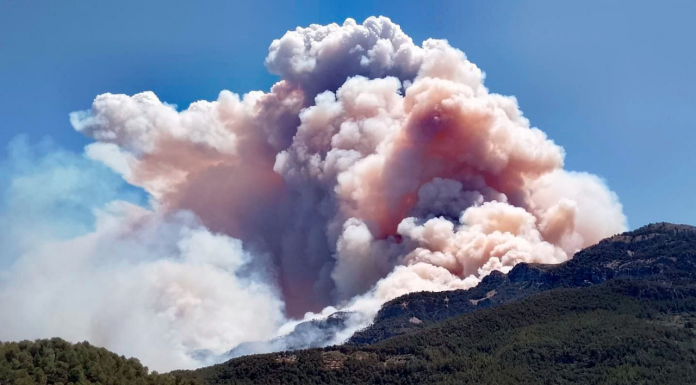 El humo del incendio de Tarragona alcanza Valencia y desata decenas de llamadas al 112 El humo del incendio de Tarragona alcanza Valencia y desata decenas de llamadas al 112