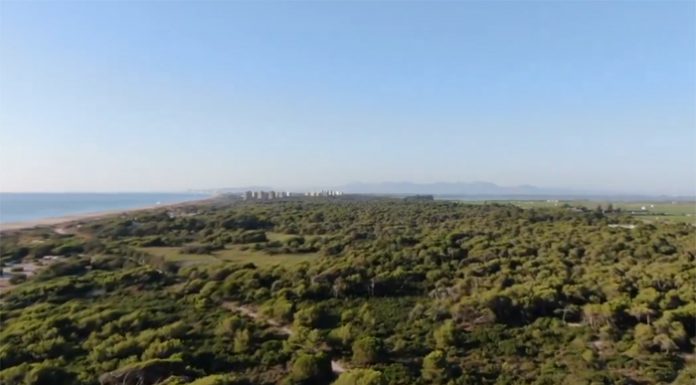 La Policía Local vigila la Devesa de El Saler con drones ante el riesgo de incendios