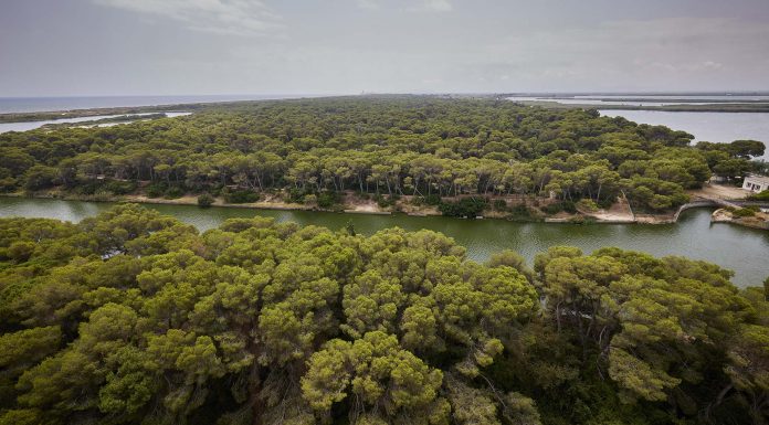 Retiran de La Devesa 23.100 litros de basura en solo tres semanas