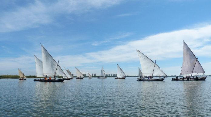 Días para ver las próximas exhibiciones de vela latina en el lago de l’Albufera