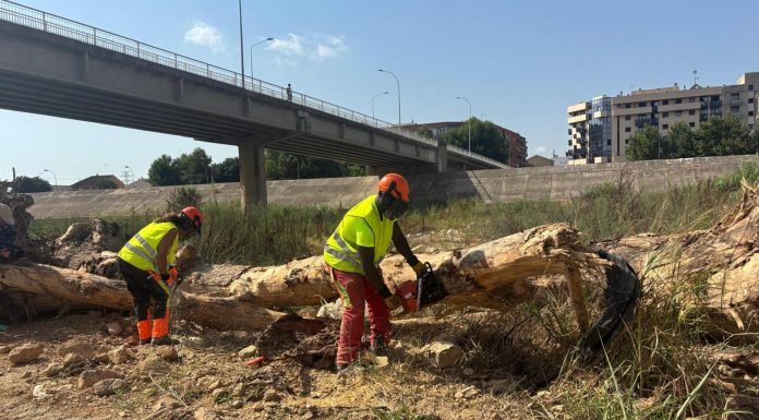 El Ayuntamiento de València inicia la limpieza del nuevo cauce del Túria
