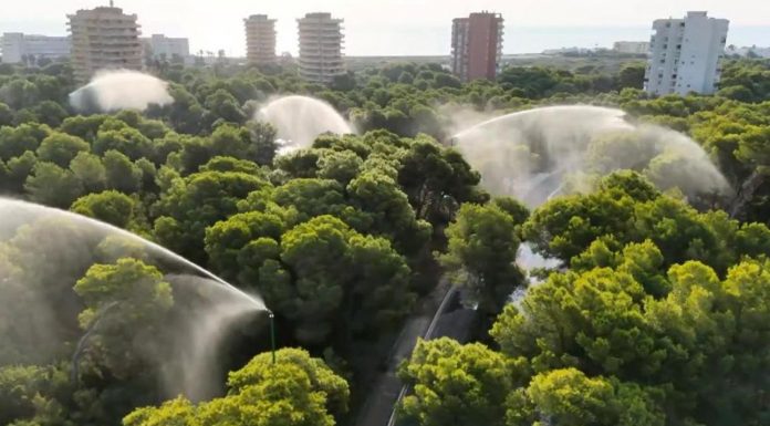Activan los cañones de agua de la Devesa ante el riesgo extremo de incendios por la ola de calor