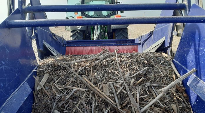 Recogen 66.000 kilogramos de maderas y cañas en playas del sur de Valencia