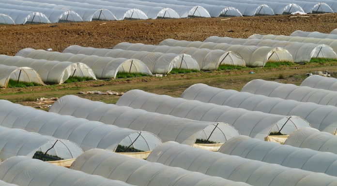Retiran casi 20 toneladas de plásticos agrarios y mantas térmicas