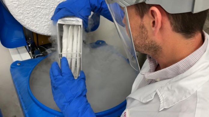 250805 SAN_NP_NuevaTerapiaCAR-T_HospLaFe