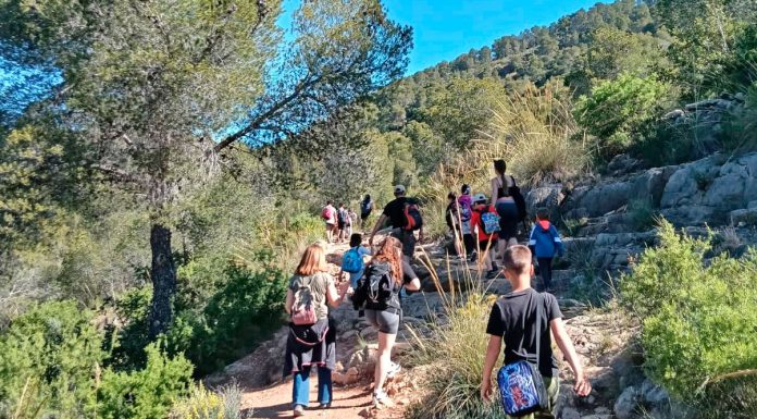 Cáritas ayuda a que 390 niños disfruten de un campamento de verano