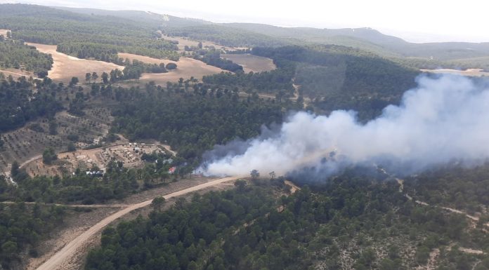 Evoluciona favorablemente el incendio en Teresa de Cofrentes