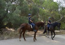 Blindan el bosque de El Saler para evitar incendios