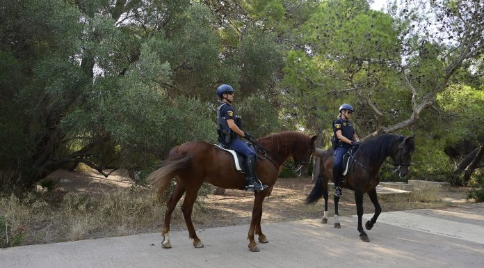 Blindan el bosque de El Saler para evitar incendios
