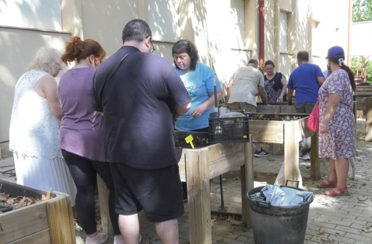 De la DANA a la esperanza: Albal apuesta por la agricultura como herramienta de apoyo a la salud mental AFPEM Horta Sud