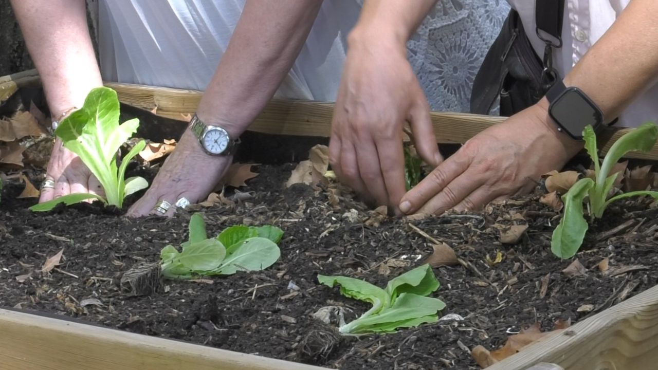 Los talleres fomentan el trabajo en equipo y la socialización