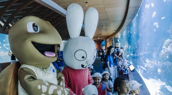 El Oceanogràfic y Metrovalencia celebran la Semana de la Movilidad Sostenible con el personaje infantil Simón el Conejo