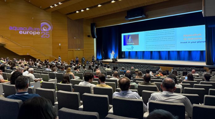 València se convierte en la capital europea de la acuicultura con el congreso Aquaculture Europe 2025