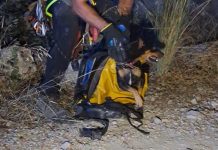 Rescatan a un perrito en la vía verde de Villalonga
