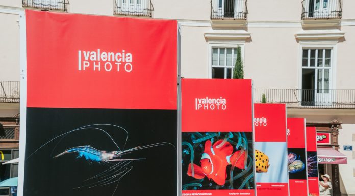 El Oceanogràfic de Valencia se transforma en una galería: Una impactante exposición fotográfica nos sumerge en la belleza del mar La Fundación Oceanogràfic patrocina la exposición de Enrique Talledo, enmarcada en el Valencia Photo Fest