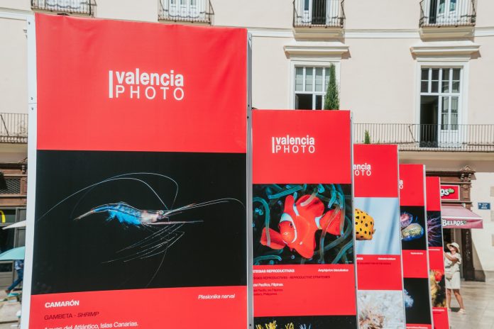 La Fundación Oceanogràfic patrocina la exposición de Enrique Talledo, enmarcada en el Valencia Photo Fest