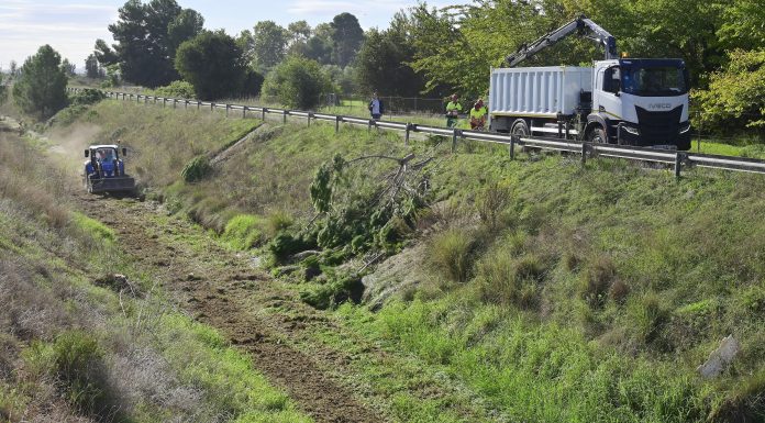 Limpian el barranco del Palmaret después de veinte años de abandono