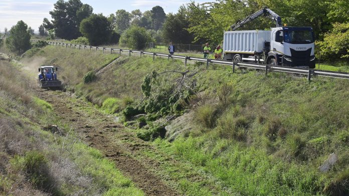 Neteja barranc del palmaret (2)