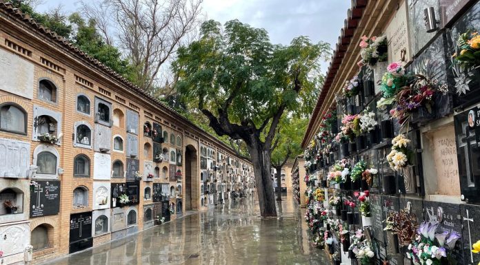 Todos los Santos en València: horarios de cementerios, accesos, cómo aparcar y rutas especiales