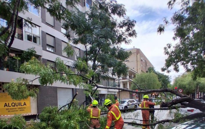 560202300_833012529106616_5301623985475114151_n