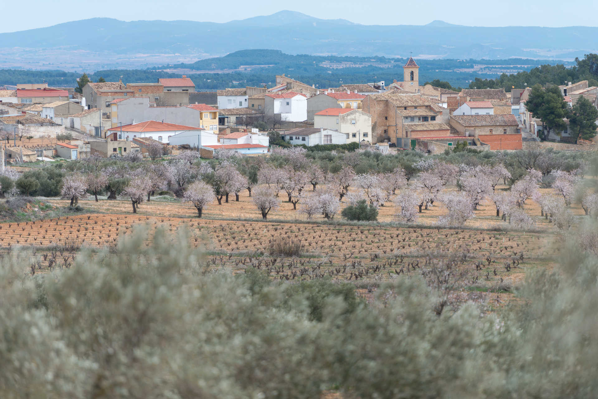 Vistas de Venta del Moro (Valencia)
