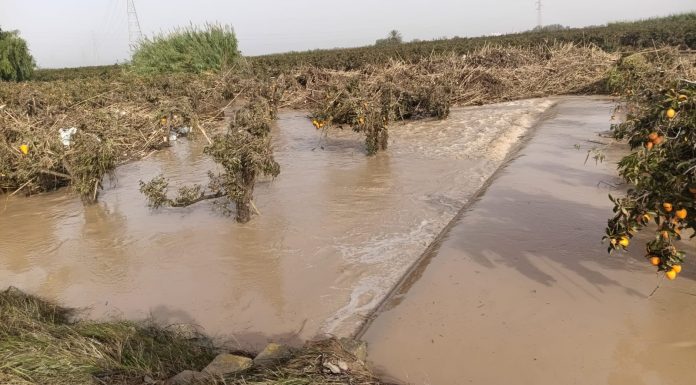 El sector agrícola valenciano sigue sin recuperarse un año después de la DANA