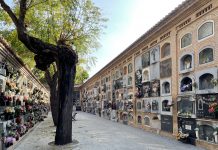 Horario especial en los cementerios de València por la festividad de Todos los Santos