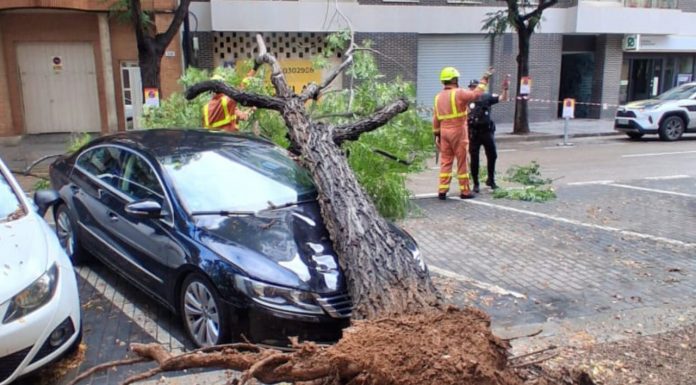 Los bomberos no dan abasto por las numerosas caídas de ramas de árboles