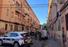 Operación policial contra las conexiones ilegales de luz en Beteró, Malva-rosa y Casitas Rosa