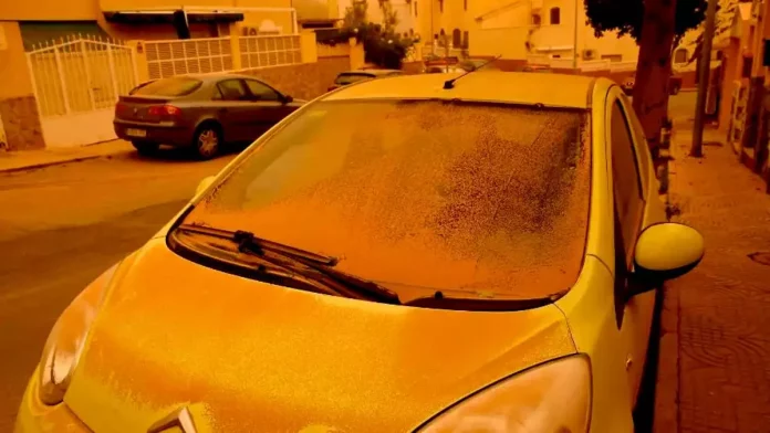 7TeleValencia -Lluvia de barro