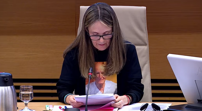 Rosa Álvarez durante su intervención en la comisión de investigación de la DANA
