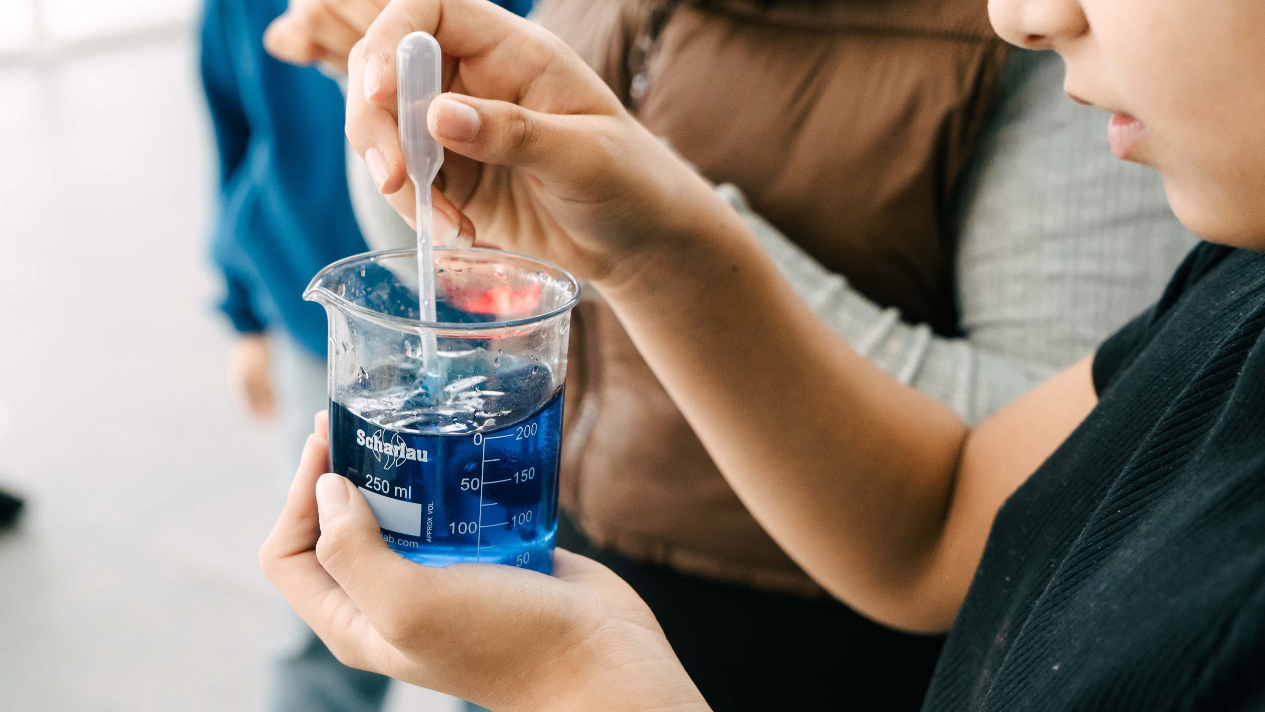 Semana de la Ciencia en el Oceanogràfic: así podrás convertirte en "Veterinario por un día"